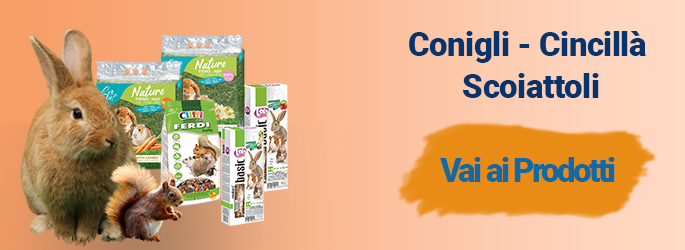 Alimenti e Snack Per Roditori